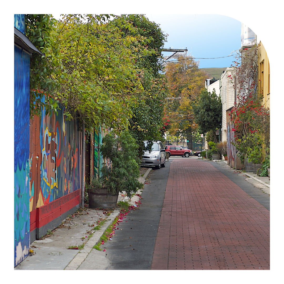 Photo looking down a tree lined alley with murals on the walls