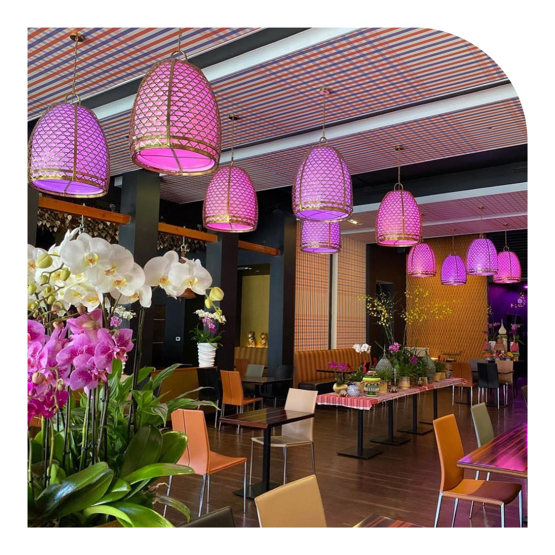 photo of a restaurant with bright purple lanterns