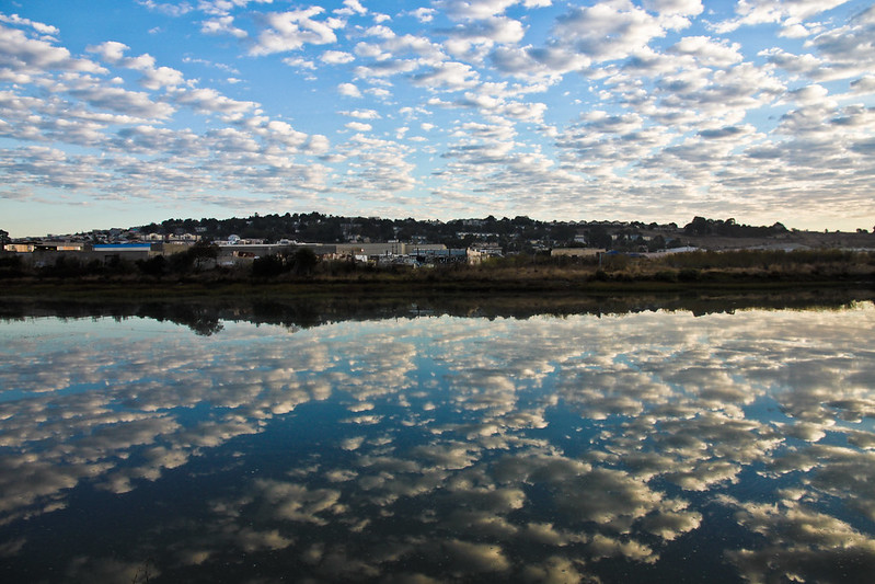 Photo of Yosemite Slough