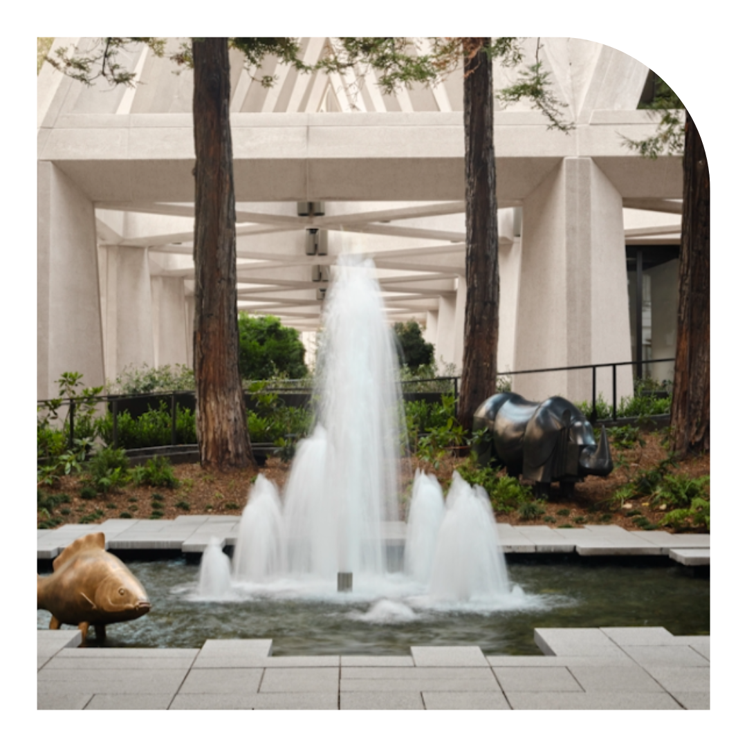 photo of a fountain amid redwood grove