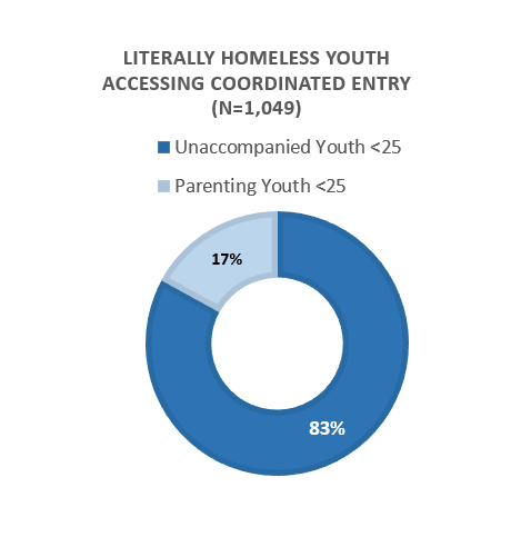 donut chart showing parenting and unaccompanied youth homelessness