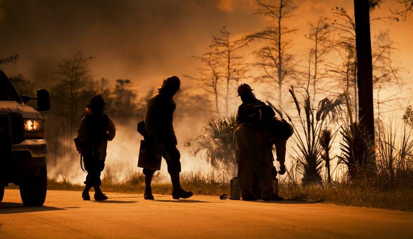 Firefighters fighting a wildfire