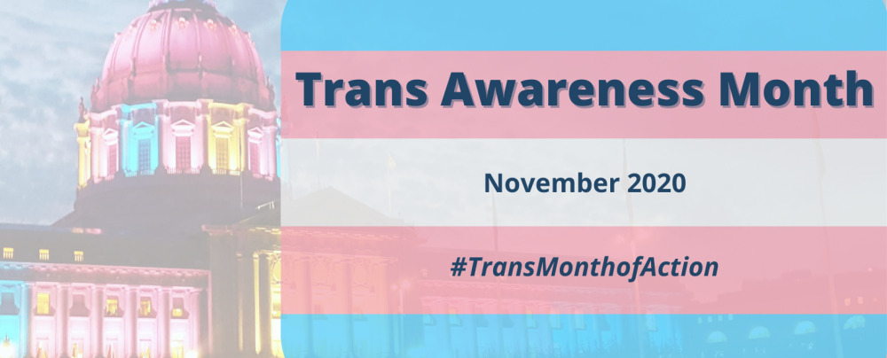  City Hall lit in the blue, pink, and white colors of the trans pride flag with text over stripes of the same colors: "Trans Awareness Month - November 2020 - #TransMonthofAction".
