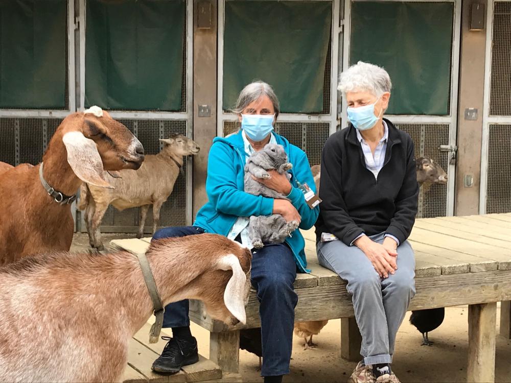 Two Laguna Honda volunteers sit with goats and a rabbit. 