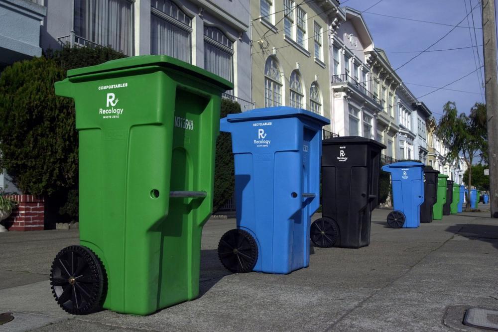 Recology bins lined up on the sidewalk.