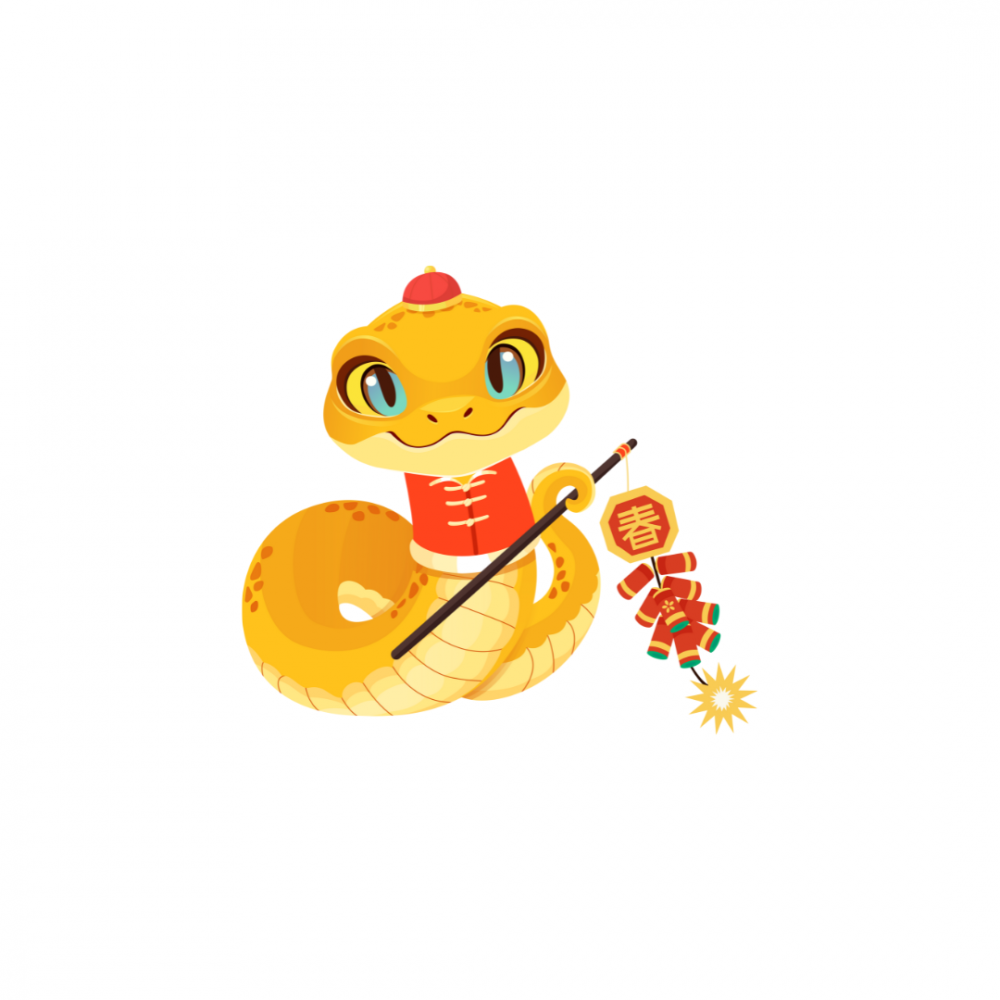 illustration of a snake for Lunar New Year 2025